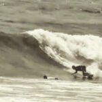 プロフィール写真