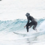 プロフィール写真