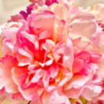 プロフィール写真