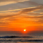 プロフィール写真