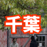 千葉地域 のグループロゴ